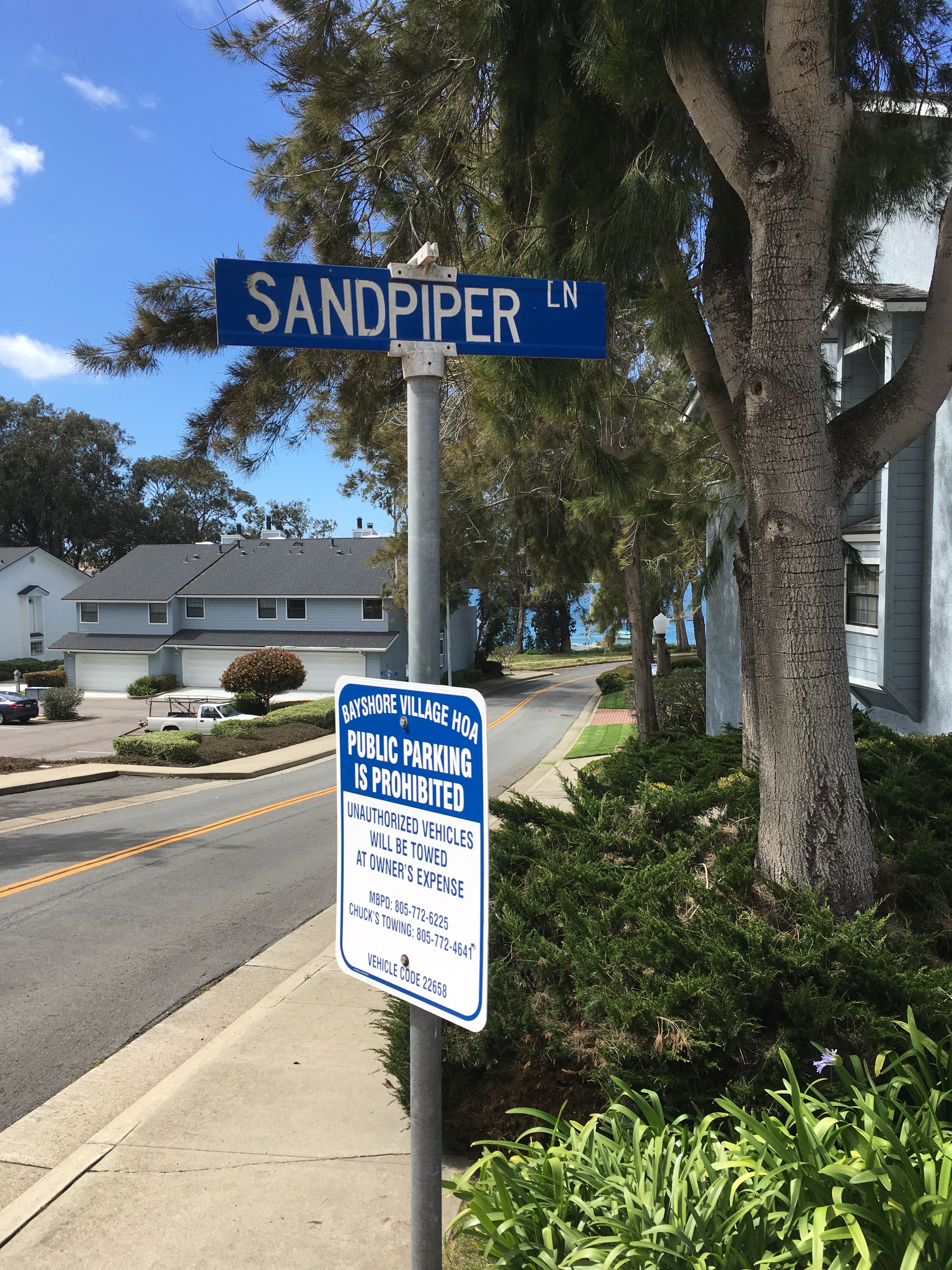 Sandpiper Lane
